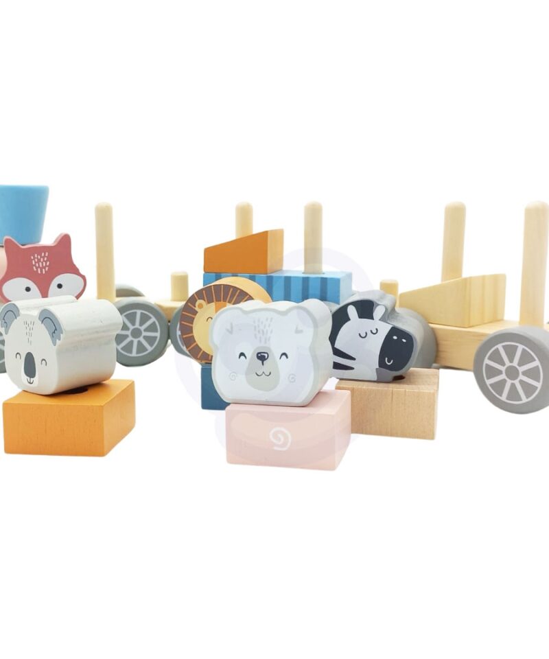 Hariduslik rongikomplekt lastele