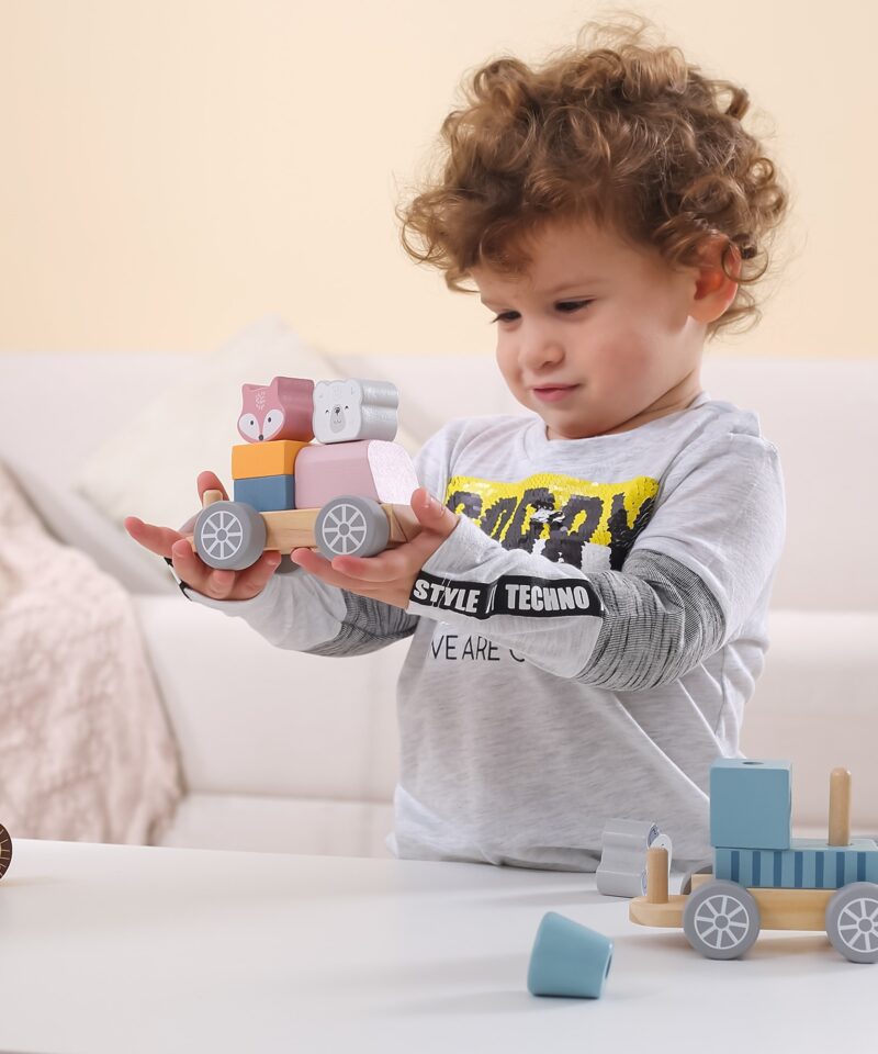 Kombineeritavad klotsid ja loomad rongikomplektis