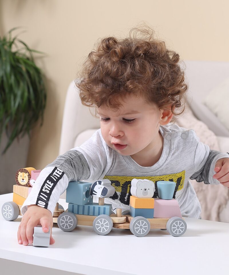 Kombineeritavad klotsid ja loomad rongikomplektis