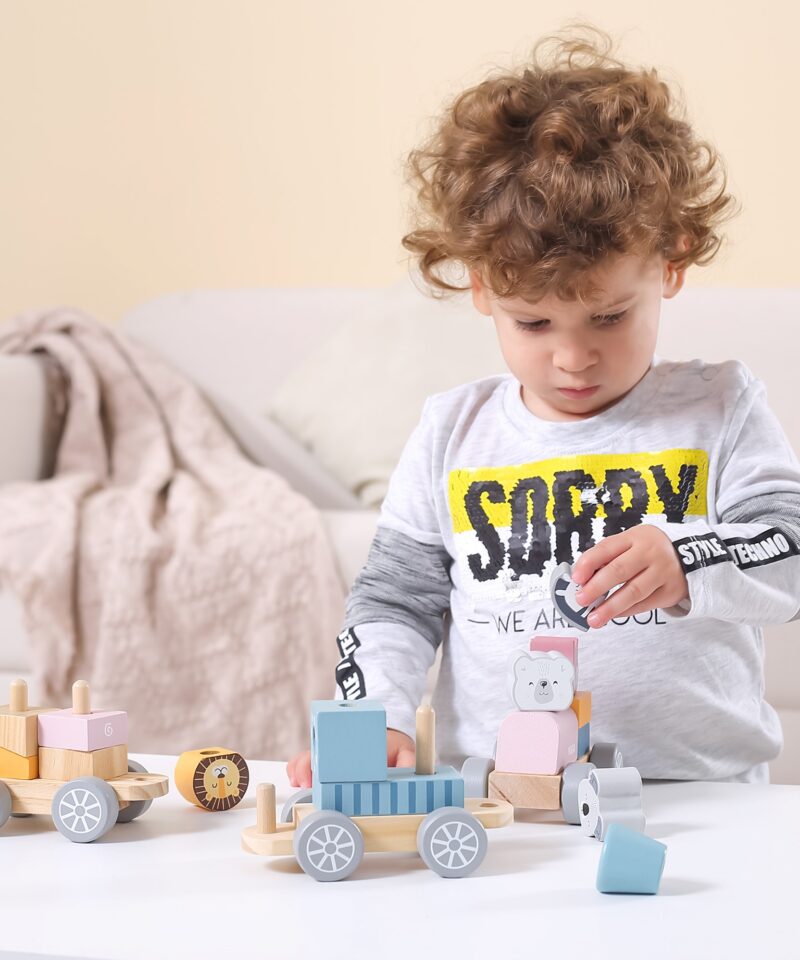 Kombineeritavad klotsid ja loomad rongikomplektis