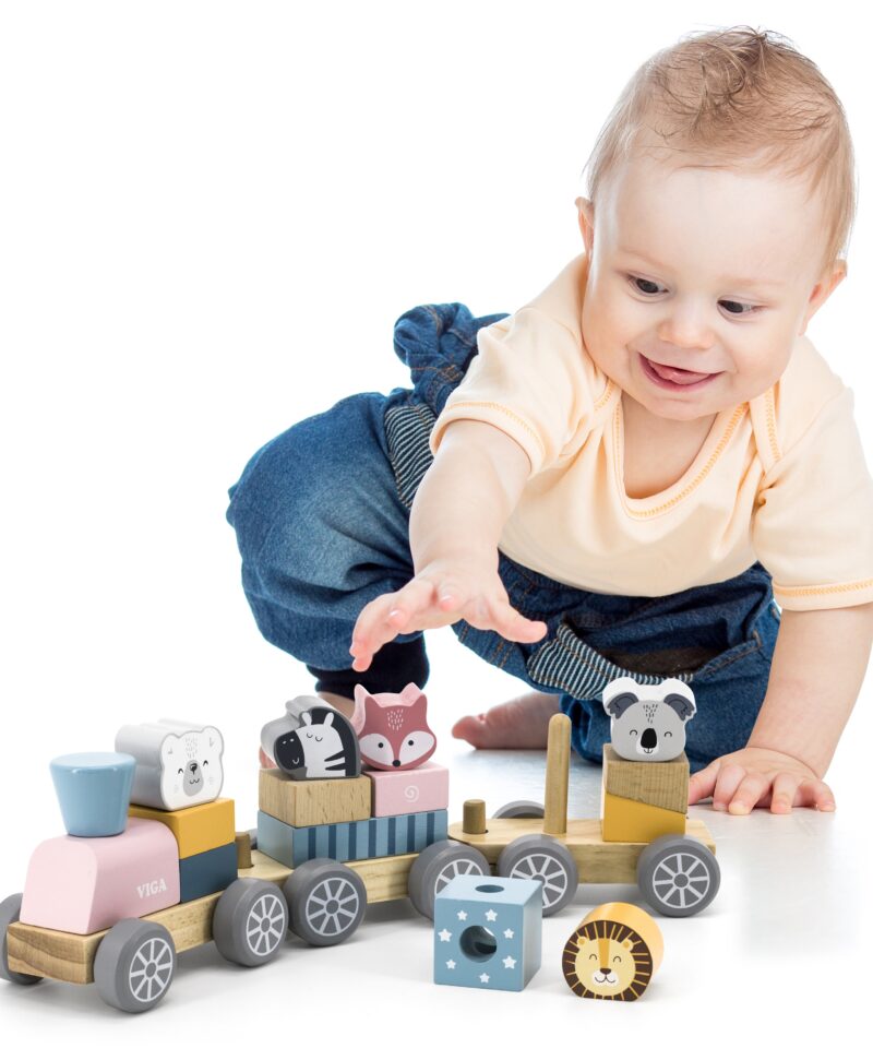 Kombineeritavad klotsid ja loomad rongikomplektis