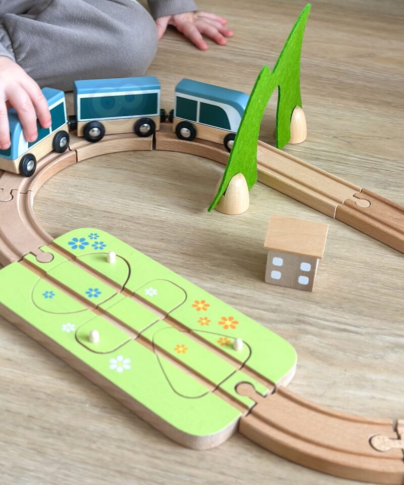 Montessori vaimus rongikomplekt