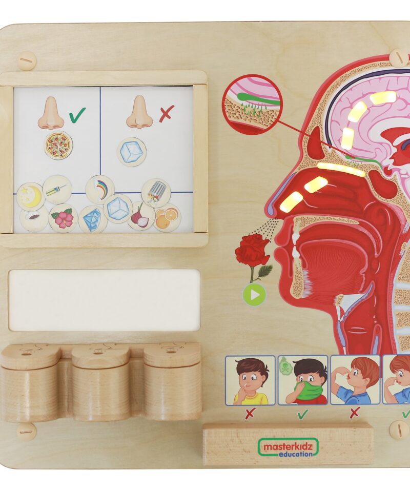 Montessori lõhnataju õppetahvel lastele