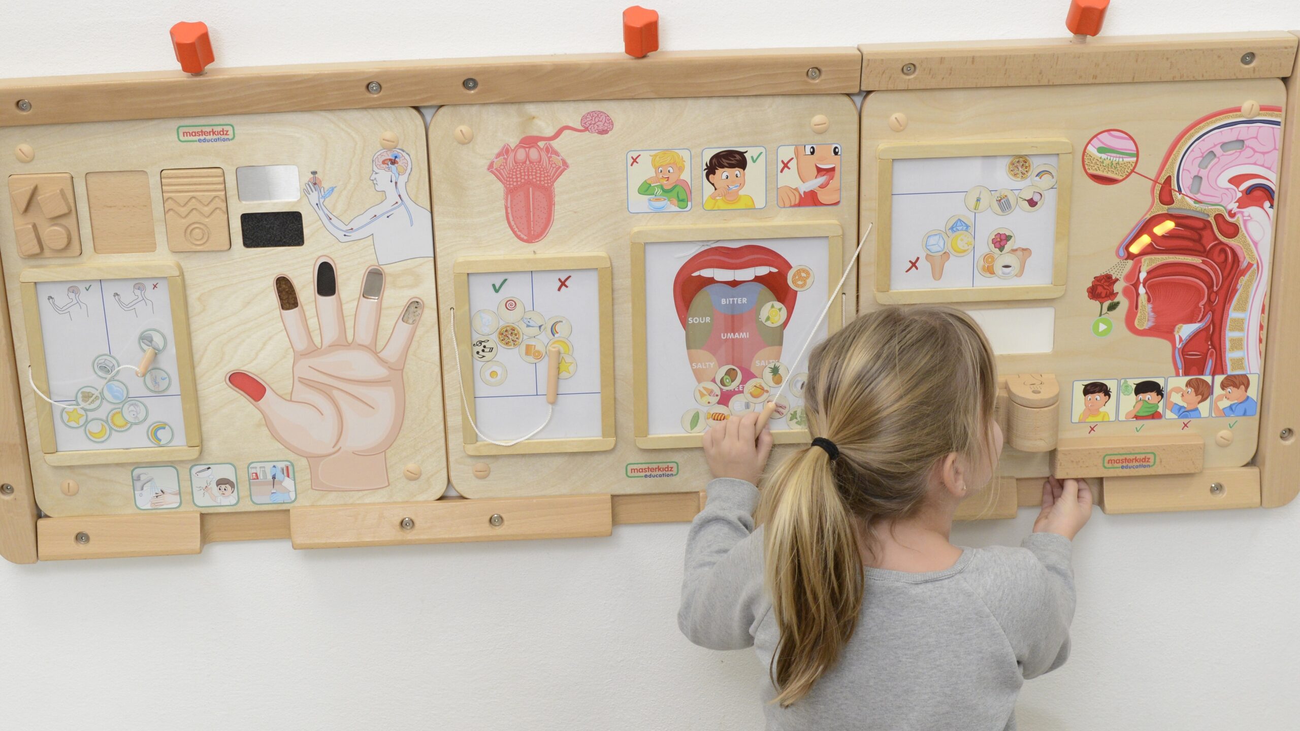 Lõhnade maailma avastamine Montessori tahvliga