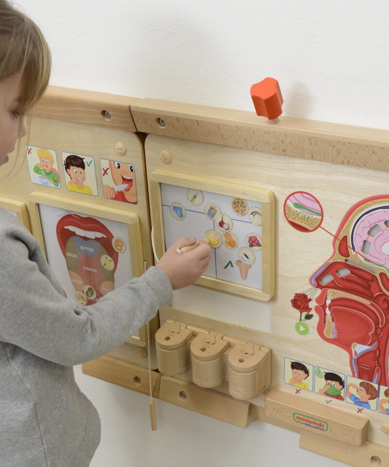 Montessori lõhnataju tahvel kodu ja kooli jaoks