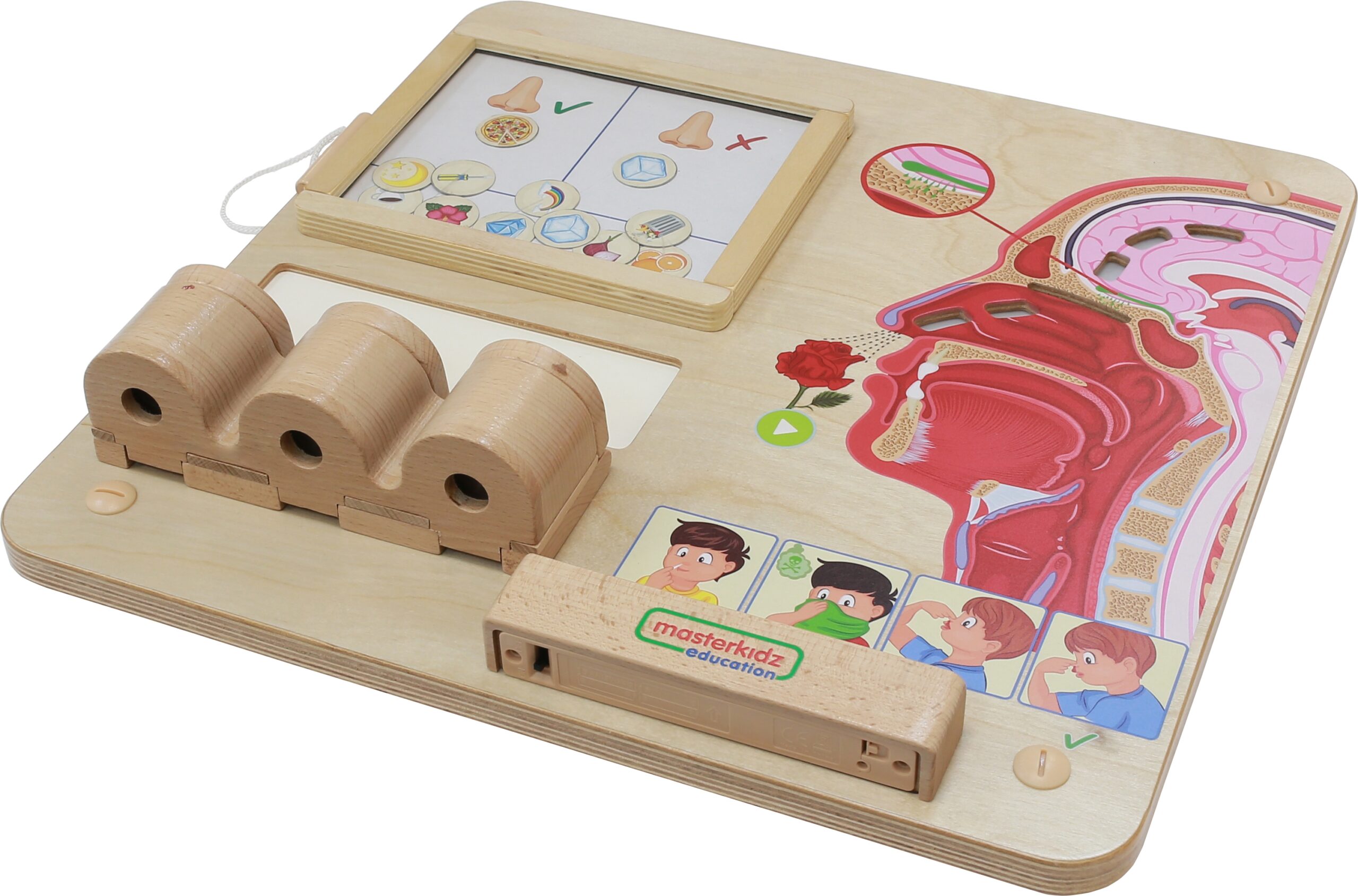 Montessori lõhnataju tahvel kodu ja kooli jaoks