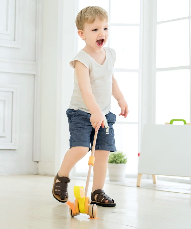 Lastele mõeldud puidust part