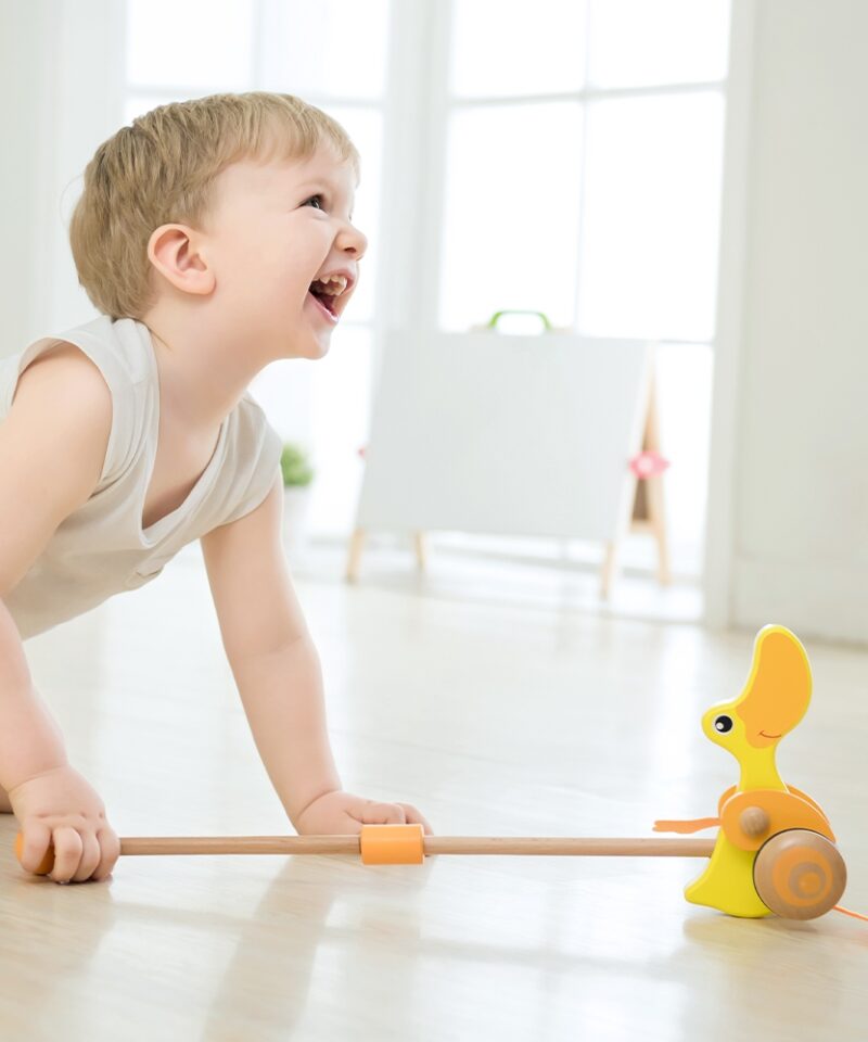 Lükkemänguasi kõndimise harjutamiseks