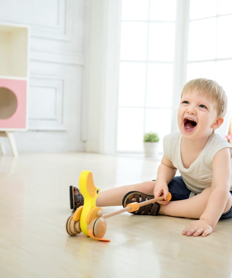 Mänguasi, mis arendab motoorikat