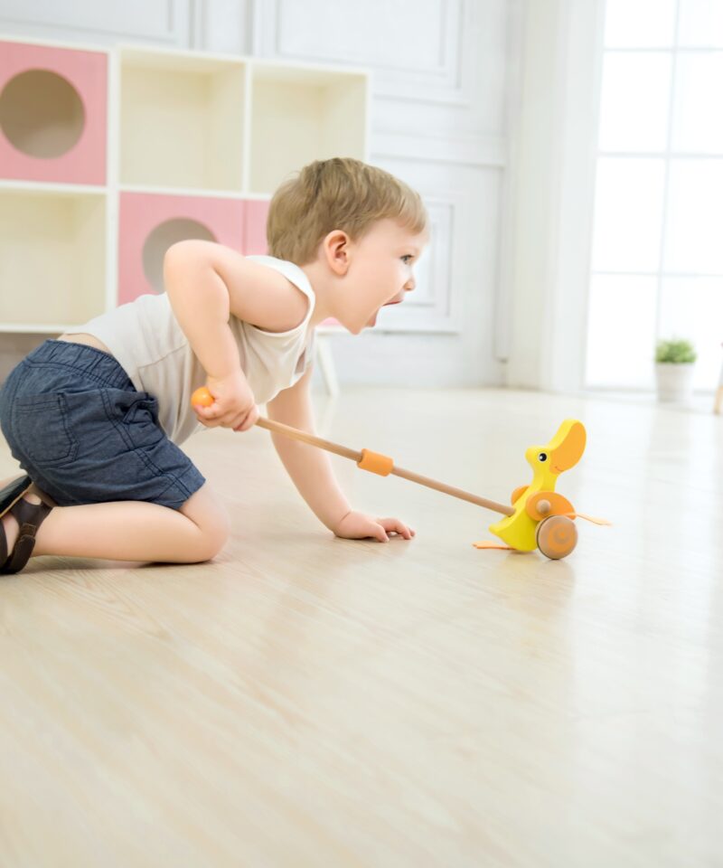 Partide tiibade klapitamise mänguasi