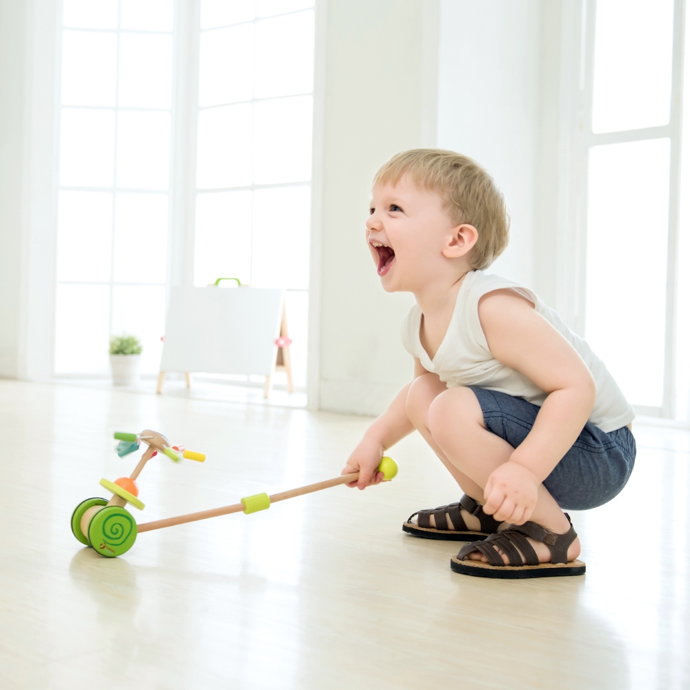 Laste jalutuskäru meeldiva meloodiaga