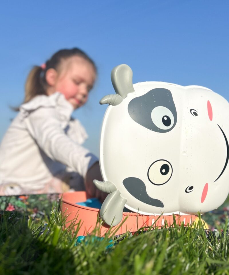 Mängukomplekt koos kohvriga