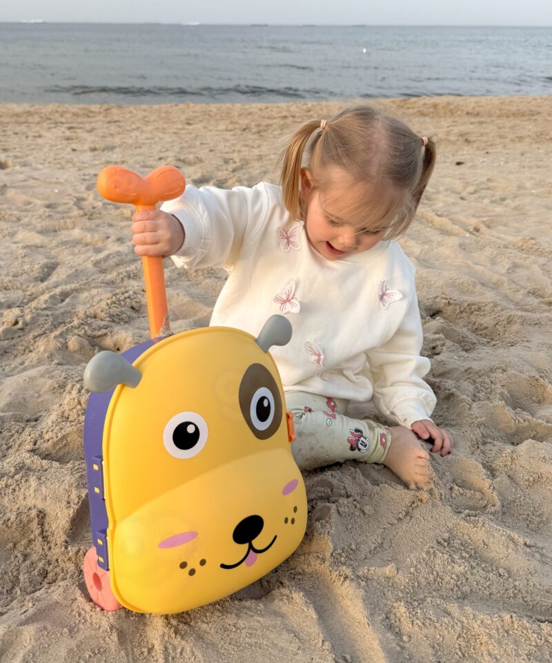 Komplekt liiva- ja veemängudeks