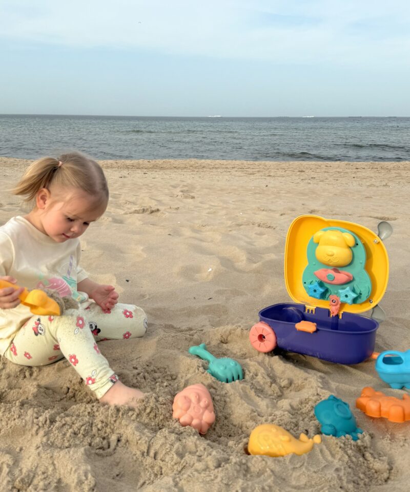 Lihtne kaasas kanda mängukomplekt