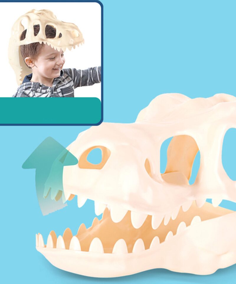 Dinosauruse kolju ja vormid liivakomplektis