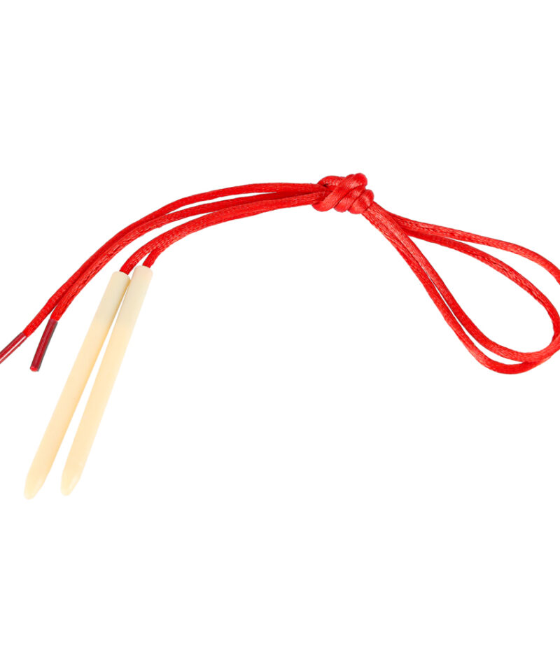 Puidust klotsid sõidukite motiividega