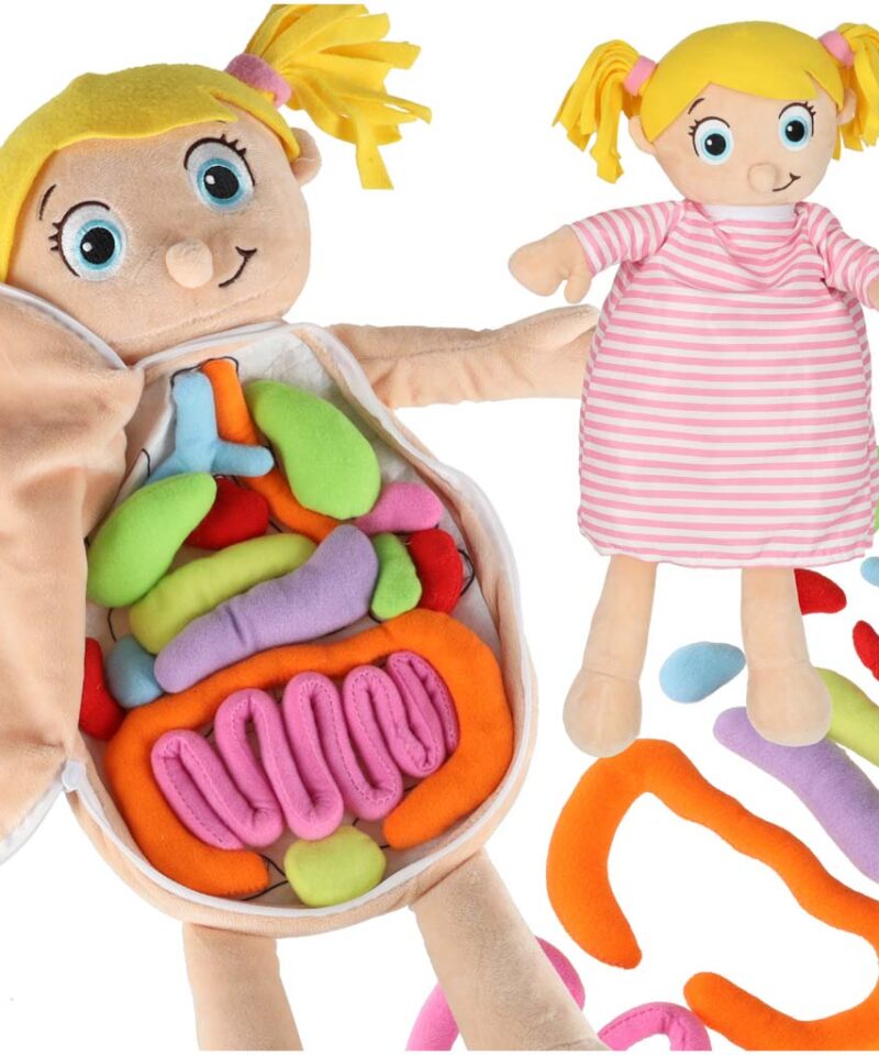 Anatoomia õppimise nukk lastele mängimas