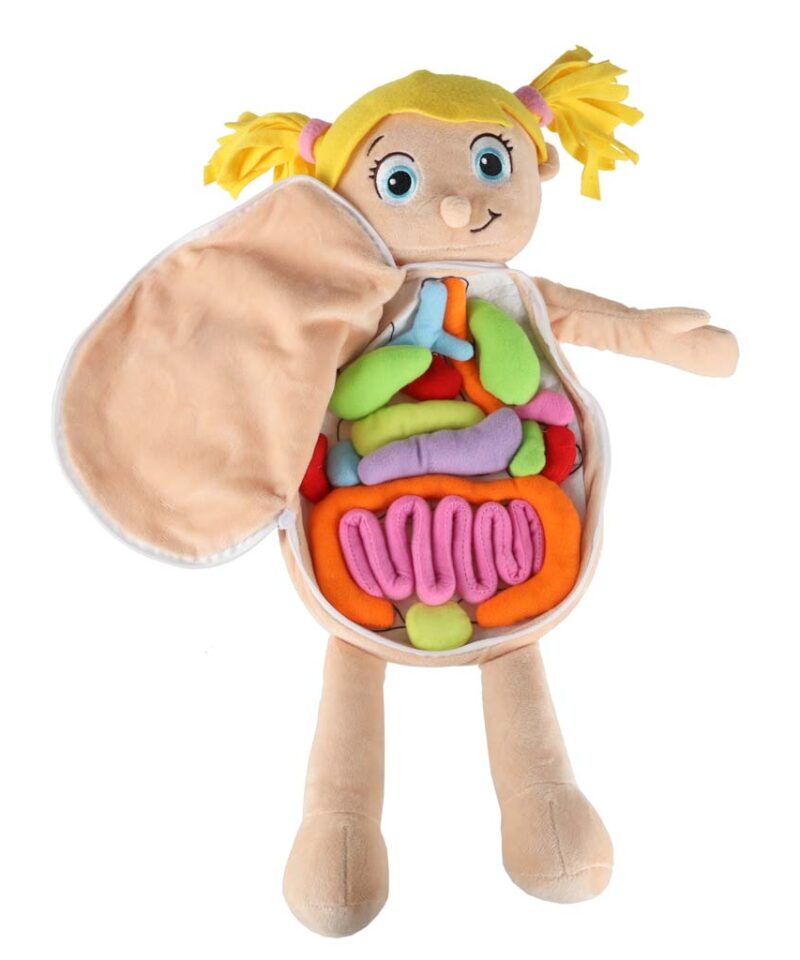 Lapsed avastavad inimkeha nukuga