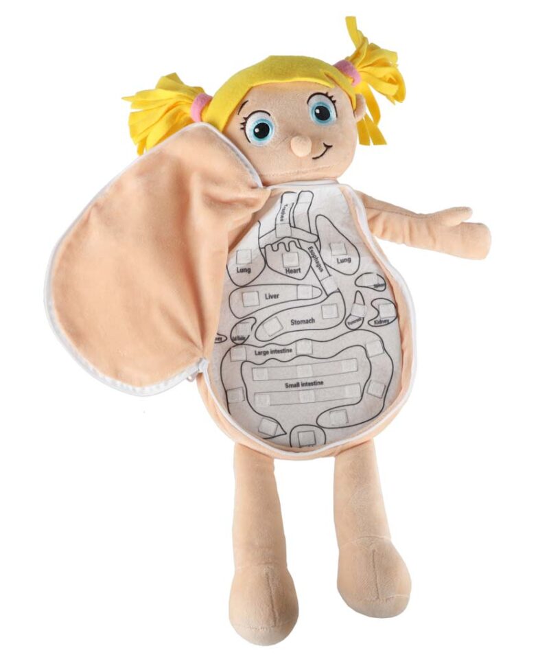 Pehme ja turvaline anatoomia nukk