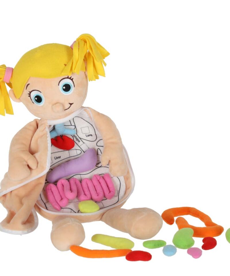 Realistlik inimkeha mudel lastele