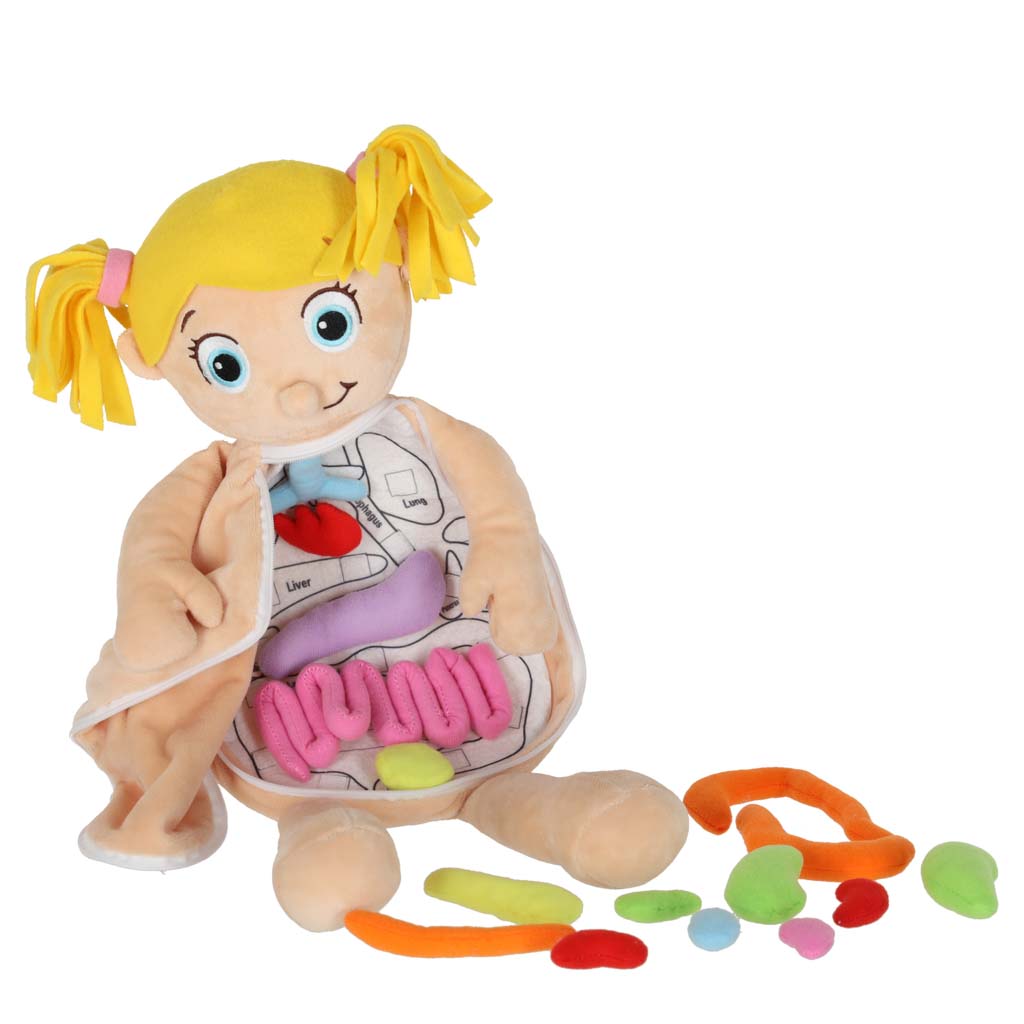 Realistlik inimkeha mudel lastele