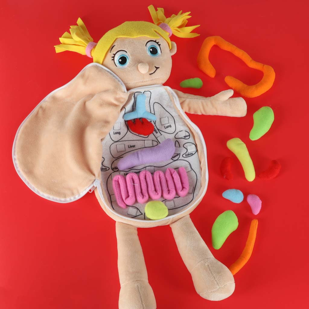 Realistlik inimkeha mudel lastele