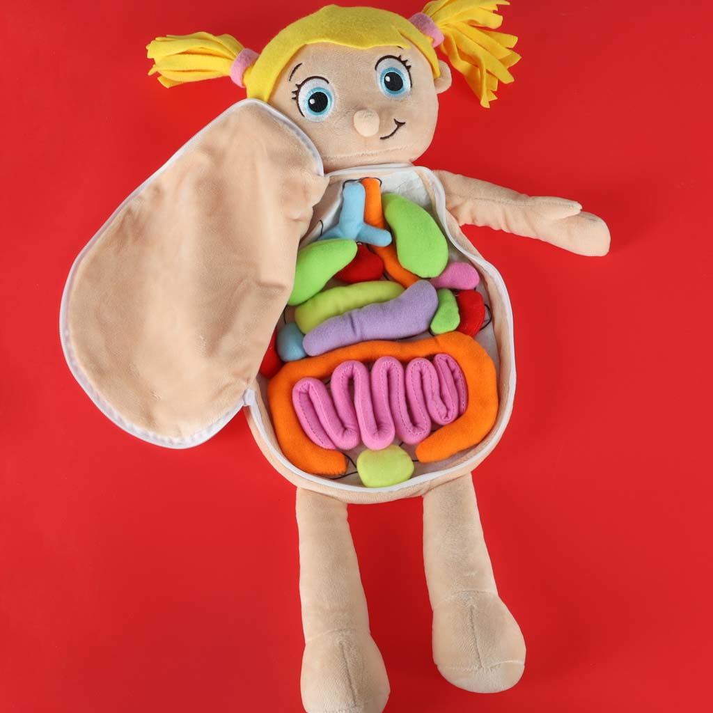 Realistlik inimkeha mudel lastele