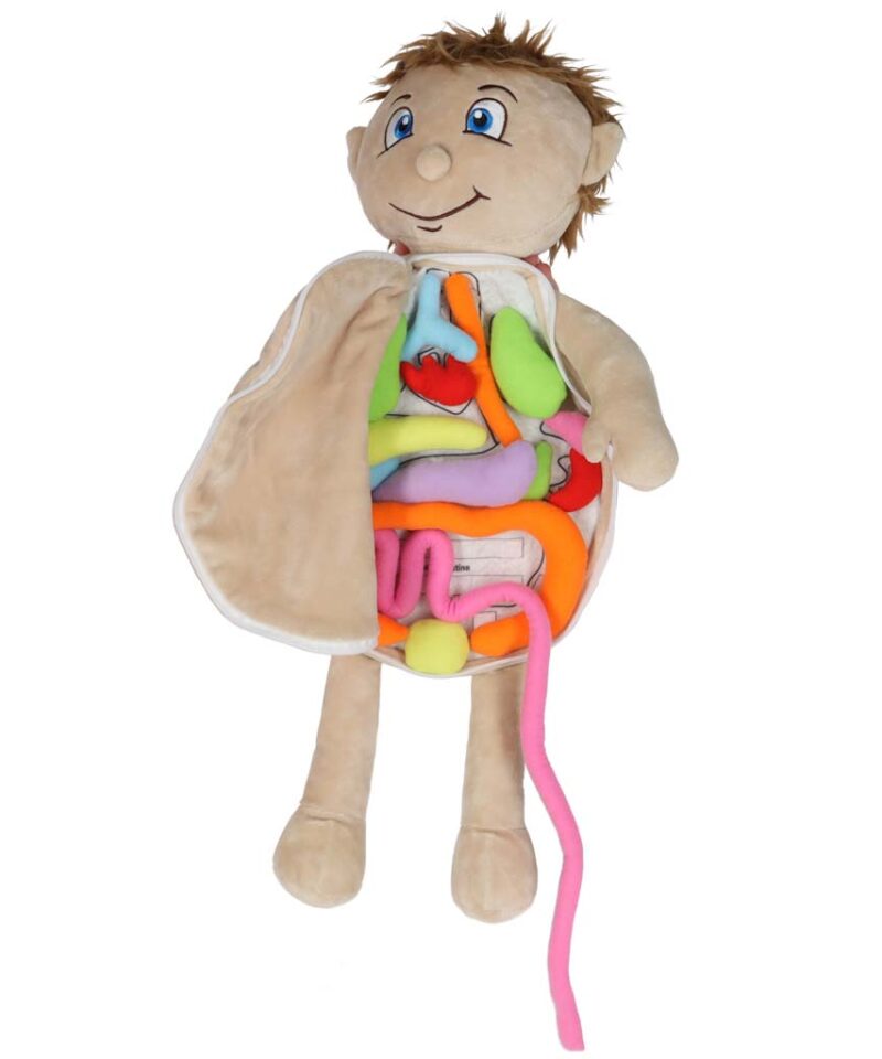 Hariv mänguasi lastele