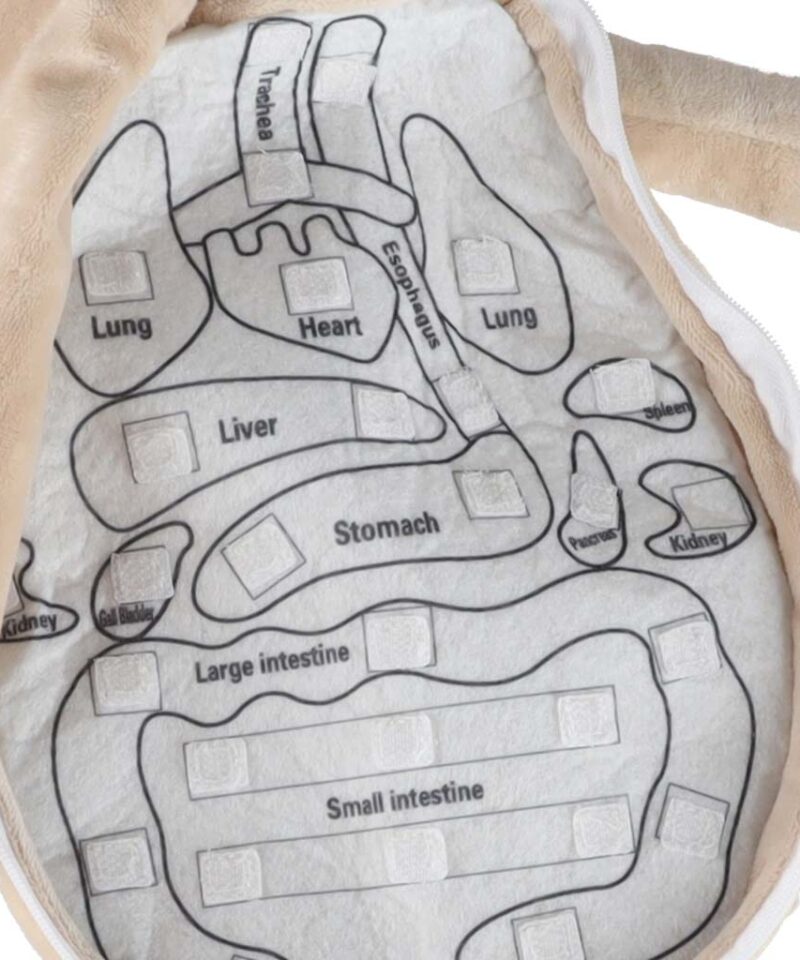 Loogilist mõtlemist arendav nukk