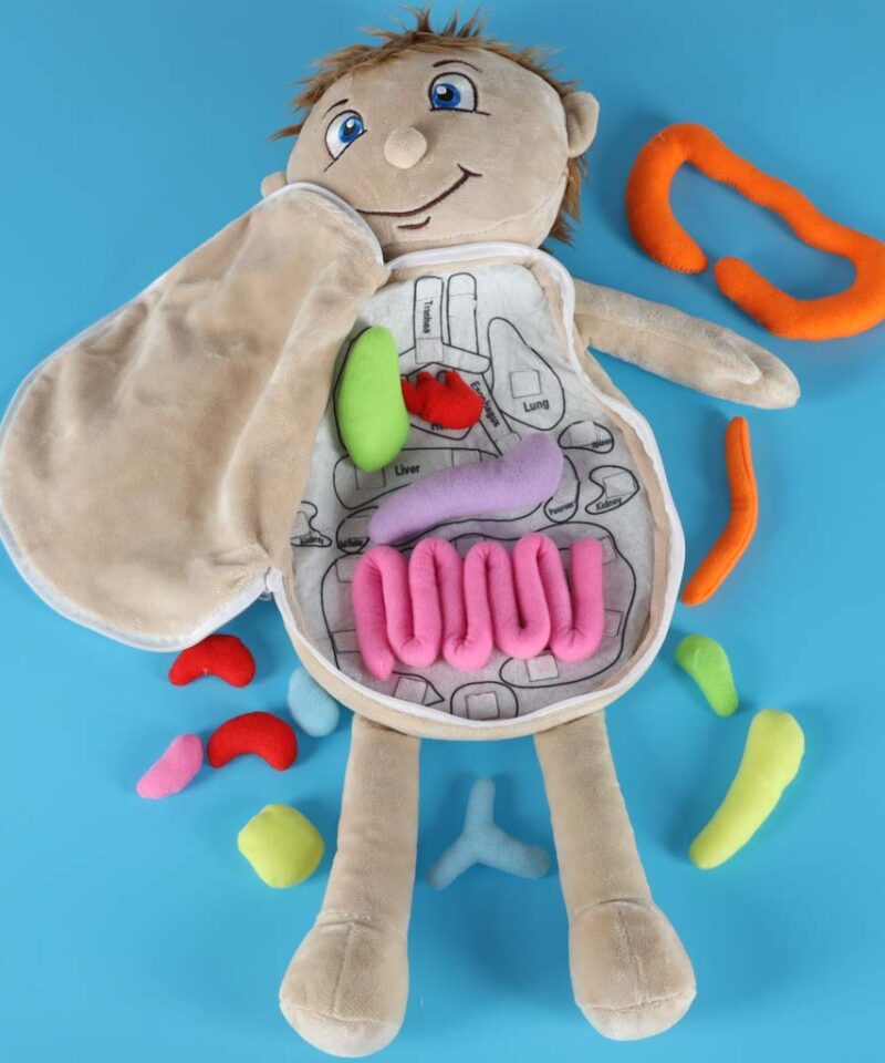 Loogilist mõtlemist arendav nukk