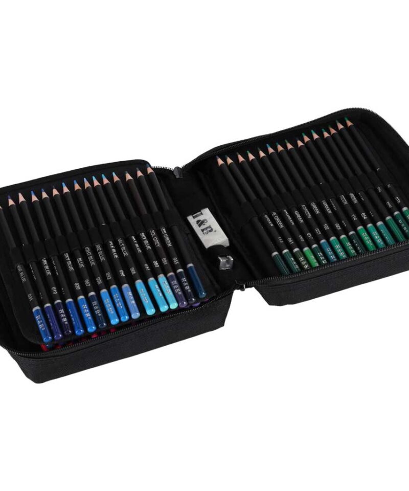 Professionaalne värvipliiatsite komplekt