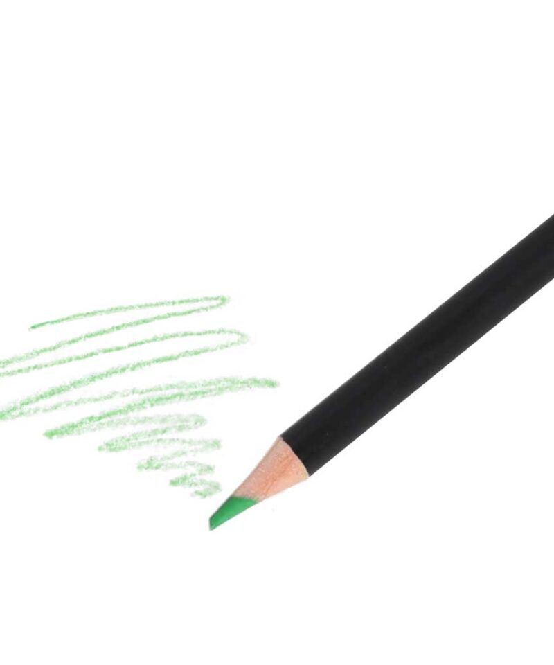 Täiuslik pliiatsikomplekt kunstiarmastajatele