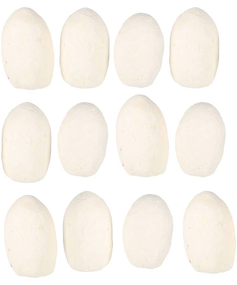 Hariv mängukomplekt dinosauruste kohta