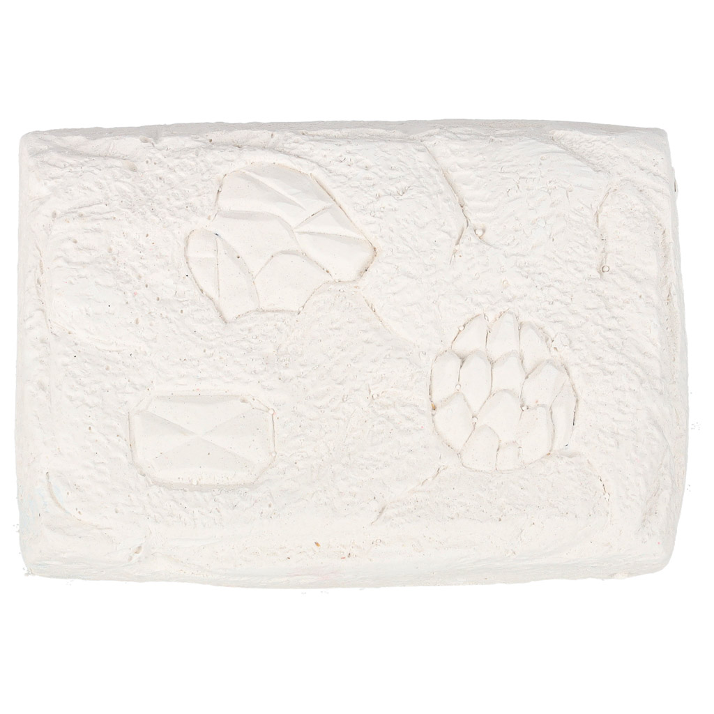 Lapsed avastavad aardeid ja kive