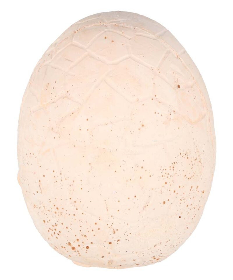 Suur kipsimuna dinosaurustega