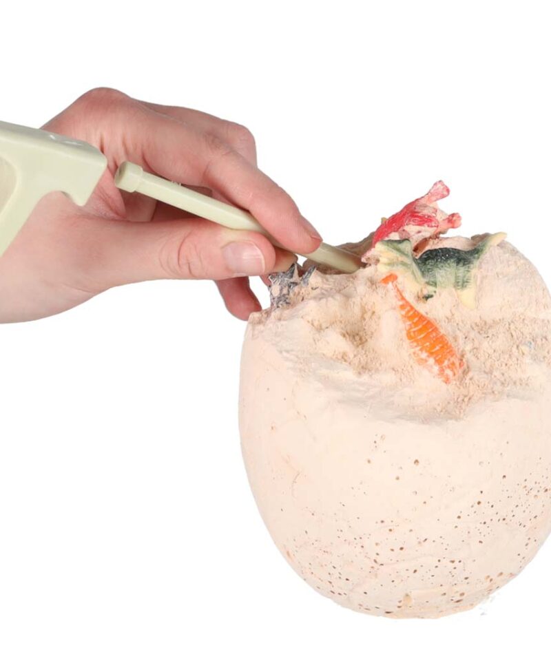 Hariv mäng dinosauruste maailmast