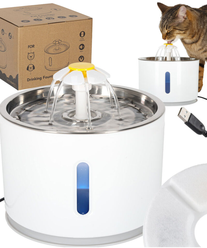 Automaatne lemmiklooma joogifontään köögis