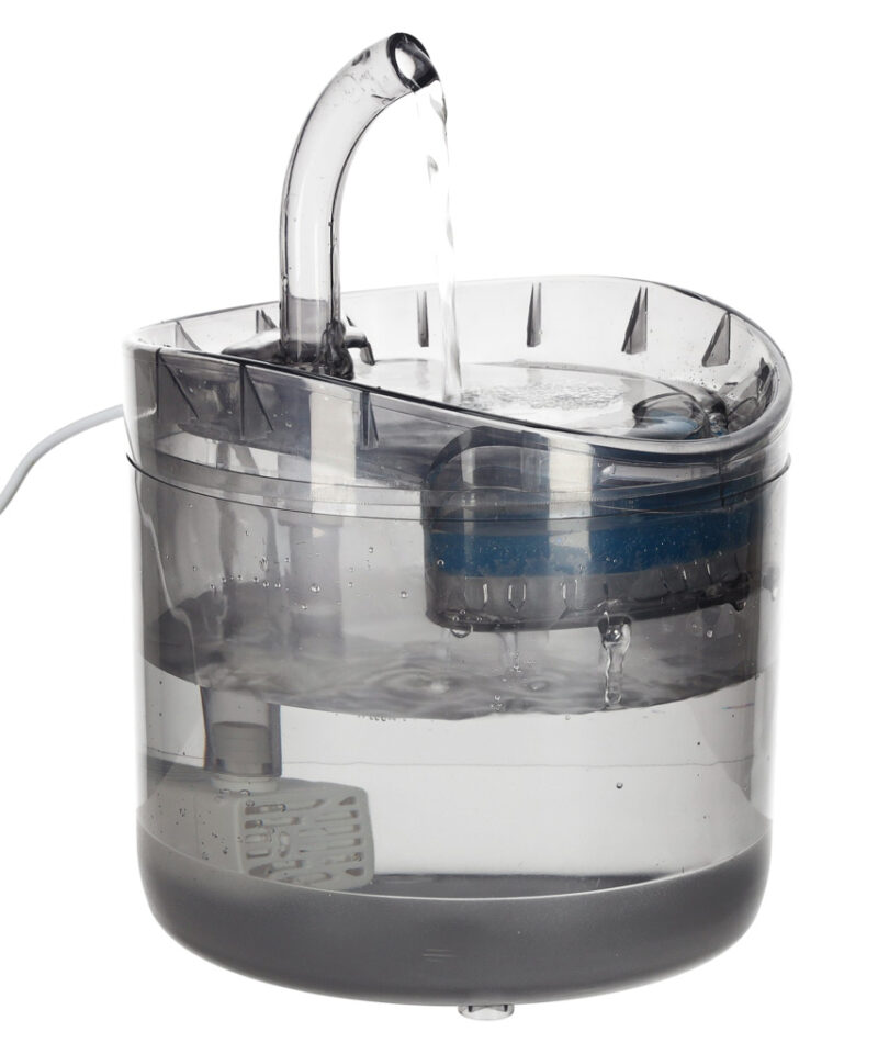 Vaikne veepurskkaev kassidele