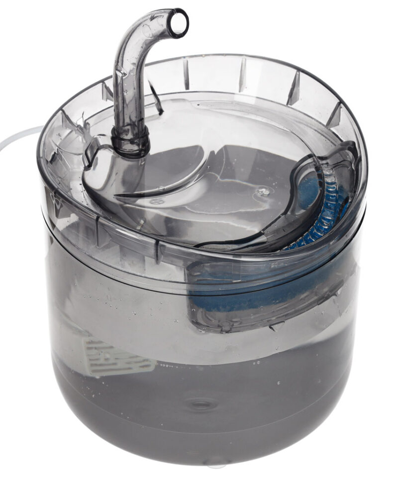 Värske vee allikas koertele