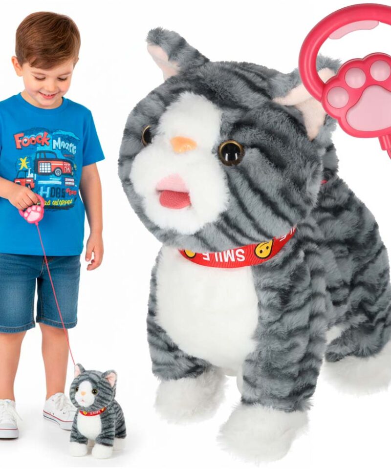 Interaktiivne mängukass lastele jalutusrihmaga