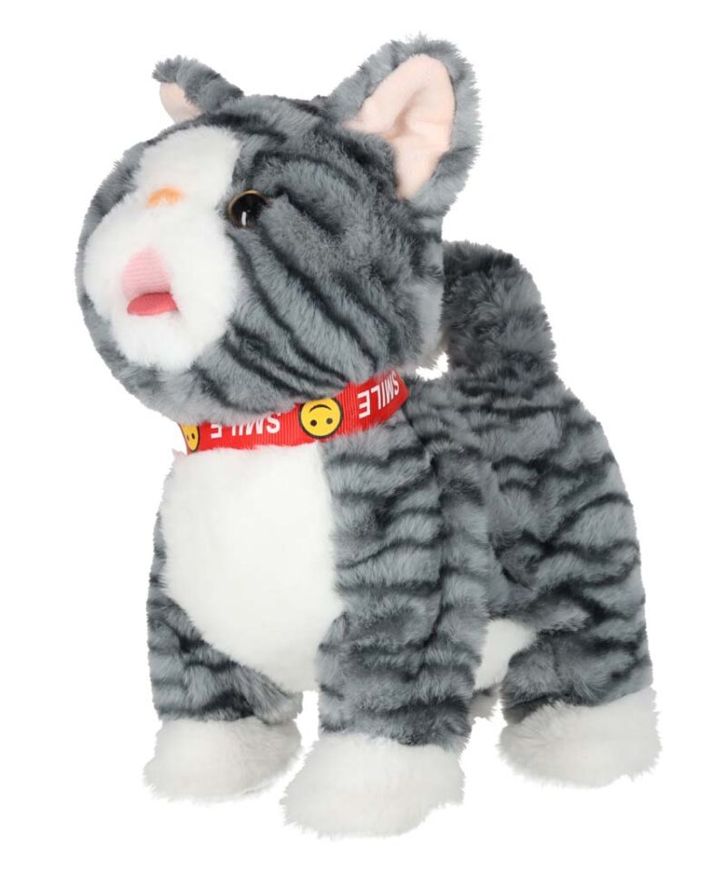 Kass, mis reageerib paitamisele