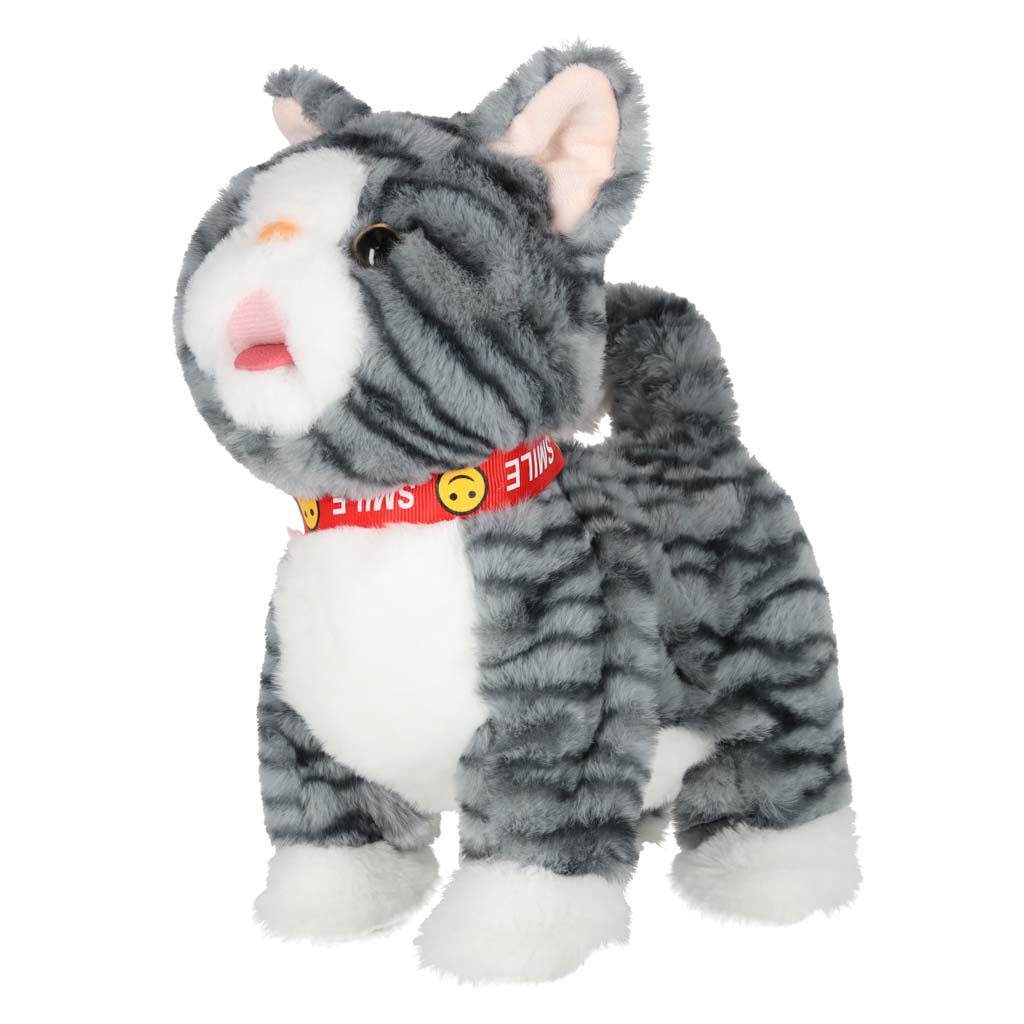 Kass, mis reageerib paitamisele