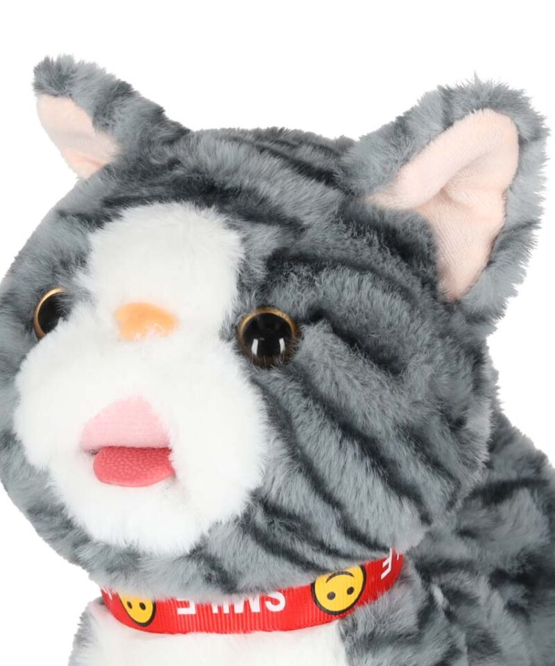 Lõbus mängukass helide ja liikumisega