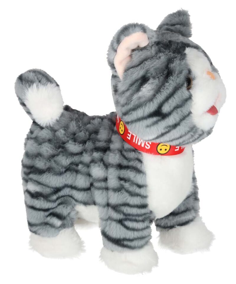 Jalutusrihmaga mängukass arendab lapse oskusi