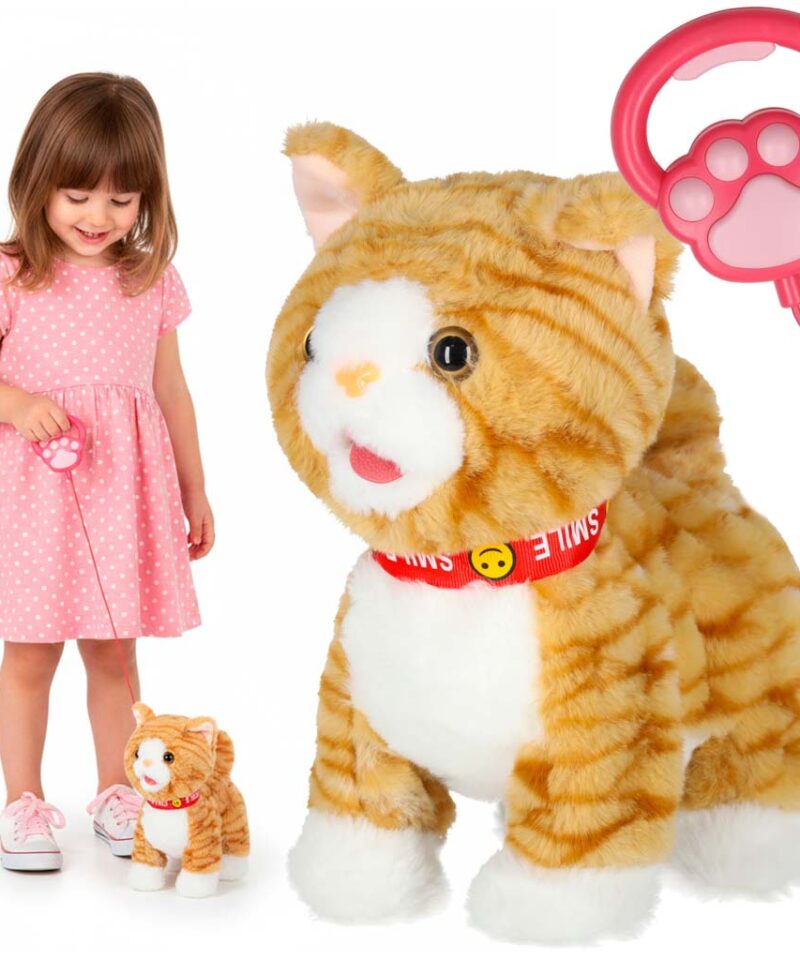 Interaktiivne mängukass jalutusrihmaga