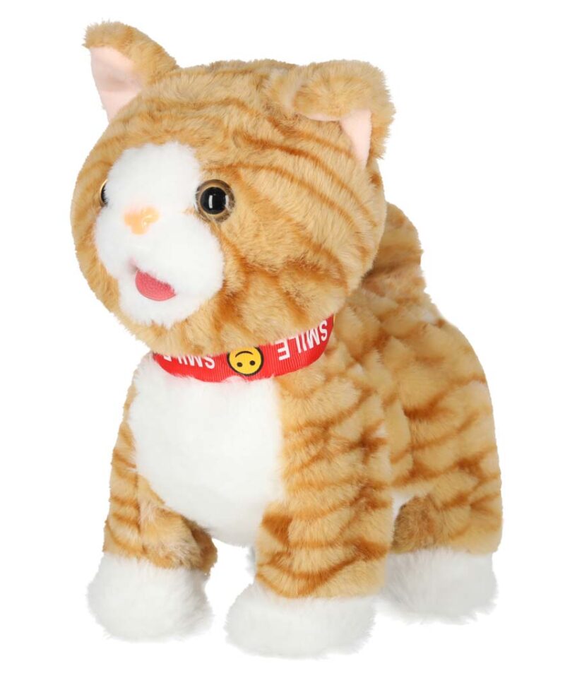 Mängukass, mis nurrub ja laulab