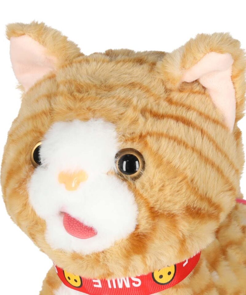 Lastele mõeldud interaktiivne mängukass