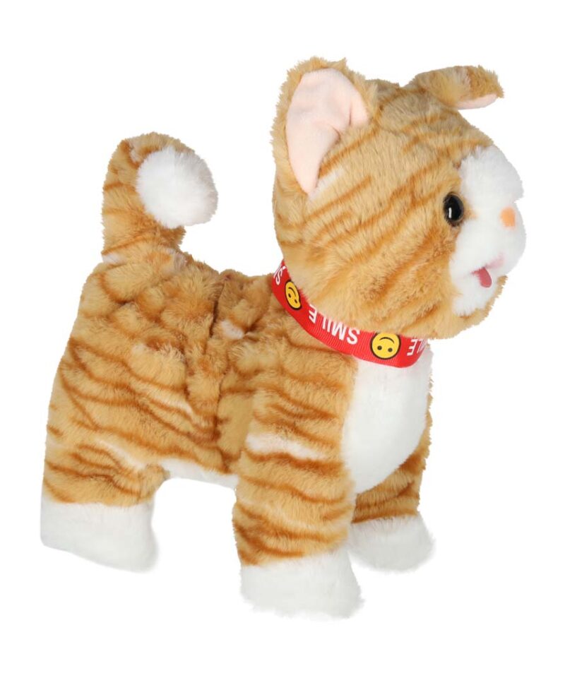 Jalutusrihmaga mängukass lastele