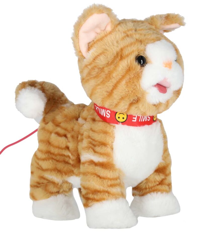 Mängukass, mis liigub ja reageerib