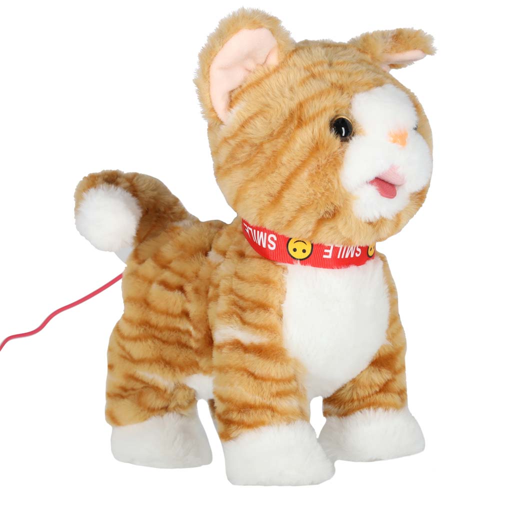 Mängukass, mis liigub ja reageerib